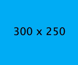 rectangle moyen : 300 x 250